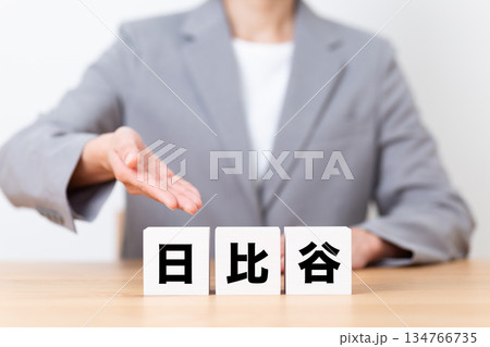 日比谷のブロックとスーツを着たミドル女性ビジネスウーマン 日比谷のブロックとスーツを着たミドル女性ビジネスウーマン 134766735