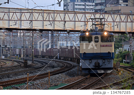 EF65の牽引する貨物列車 134767285