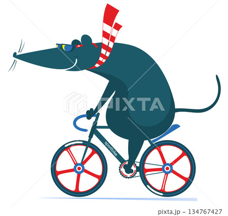 Cycling. Cute rat or mouse rides a bicycle. Cartoon cute rat or mouse rides a bicycle. Isolated on white background	 134767427