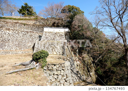 岡山県高梁市_備中松山城三の丸跡16_2025年3月 134767493