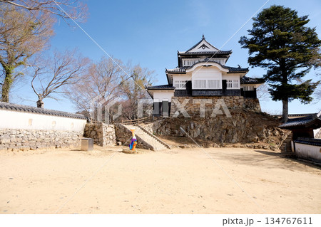 岡山県高梁市_備中松山城本丸5_2025年3月 134767611