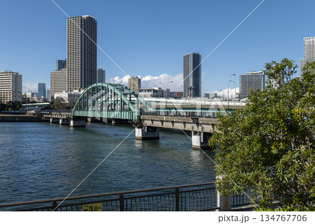 遊歩道となった豊洲「晴海橋梁 (旧晴海鉄道橋) 」 2025年12月 遊歩道となった豊洲「晴海橋梁 (旧晴海鉄道橋) 」 2025年12月 134767706