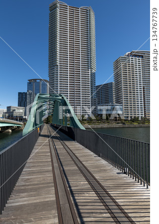 遊歩道となった豊洲「晴海橋梁 (旧晴海鉄道橋) 」　2025年12月 134767739