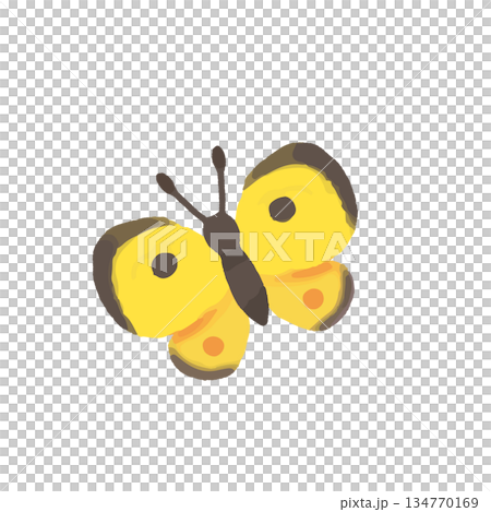 手描きのかわいいモンキチョウのイラスト 134770169