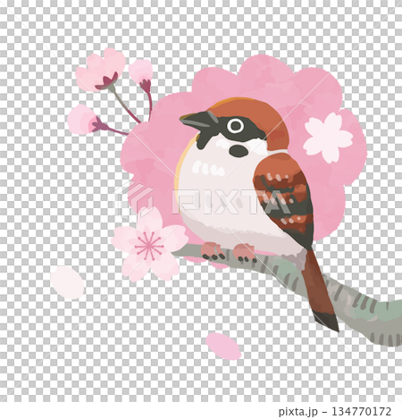 手繪可愛櫻花和麻雀插圖 1 134770172