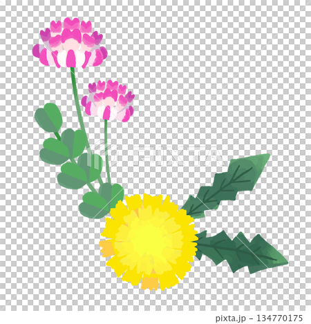 Hand drawn cute lotus and dandelion illustration 134770175