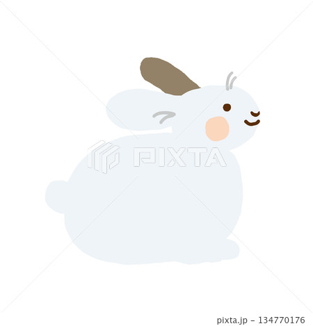 かわいい白いウサギのイラスト かわいい白いウサギのイラスト 134770176