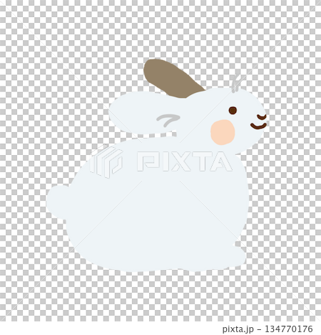 かわいい白いウサギのイラスト かわいい白いウサギのイラスト 134770176