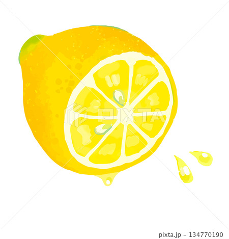 手描きのかわいい半分レモンのイラスト 134770190