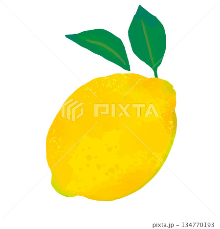 手描きのかわいいまるごとレモンのイラスト2 134770193