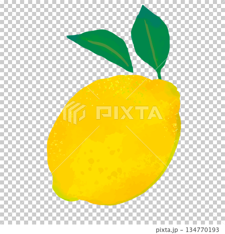 手描きのかわいいまるごとレモンのイラスト2 134770193