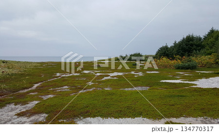 Coastal view on the Kuril Islands featuring a dense mixed coniferous and deciduous forest. Coastal view on the Kuril Islands featuring a dense mixed coniferous and deciduous forest. 134770317