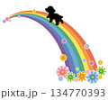 虹の橋を渡るトイプードルのシルエットと花のベクターイラスト／Rainbow Bridge 134770393
