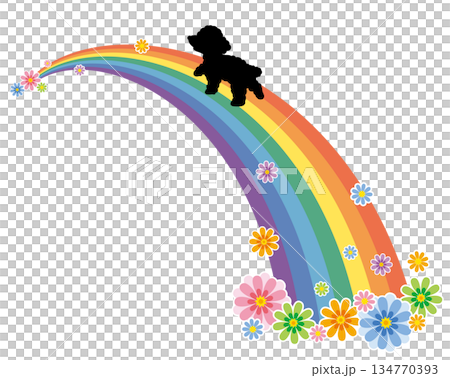 Vector illustration of a silhouette of a toy poodle crossing the Rainbow Bridge and flowers / Rainbow Bridge Vector illustration of a silhouette of a toy poodle crossing the Rainbow Bridge and flowers / Rainbow Bridge 134770393