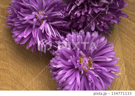 Blooming flowers, three buds of aster, on a wooden board 134771133