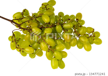 Bunch of ripe table grapes on white background isolated Bunch of ripe table grapes on white background isolated 134771241