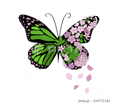 Abstract butterfly wing with flowers. Hand drawn. Not AI, vector illustration. 134771342