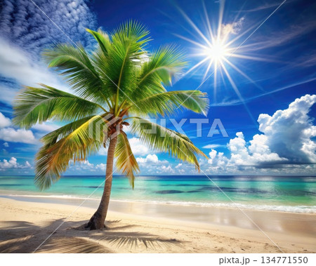 Sunny Day on a Tropical Beach With Palm Tree and Blue Sky. Generative AI 134771550
