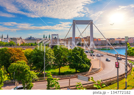 Elisabeth Bridge with historic buildings of city center, aerial view over the Danube River, Budapest, Hungary Elisabeth Bridge with historic buildings of city center, aerial view over the Danube River, Budapest, Hungary 134772182
