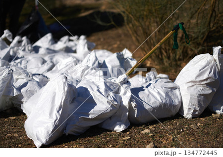 White Trash Bags Lined Up After Cleanup With Wooden Tool In Sunny Field 134772445