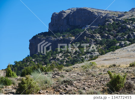 Rocky Mountain Cliff Overlook With Sparse Desert Vegetation Under Clear Blue Sky 134772455