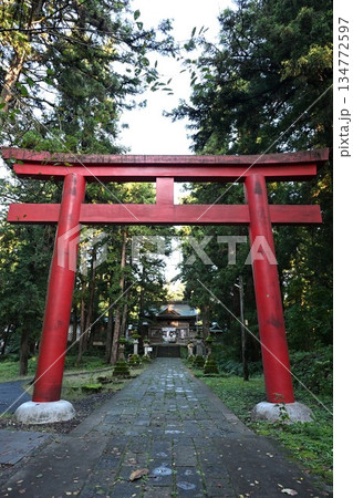 森林に囲まれた蒼紫神社の鳥居(新潟県長岡市) 森林に囲まれた蒼紫神社の鳥居(新潟県長岡市) 134772597