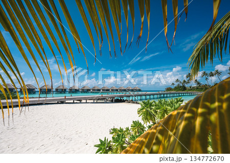 Panoramic view of luxury water villas and tropical beach framed by palm leaves, Maldives 134772670
