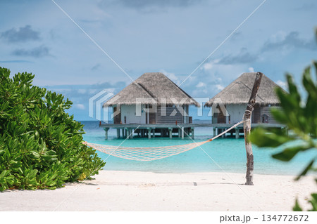Panoramic view of luxury water villas and tropical beach framed by palm leaves, Maldives 134772672