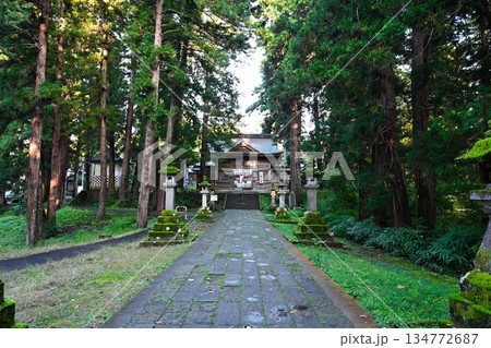 森林の中を延びる蒼紫神社の参道(新潟県長岡市) 森林の中を延びる蒼紫神社の参道(新潟県長岡市) 134772687