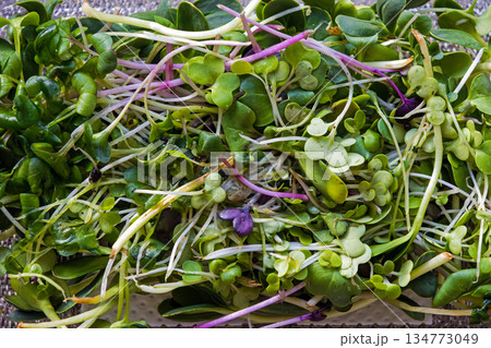 Green spinach salad pile Green spinach salad pile 134773049