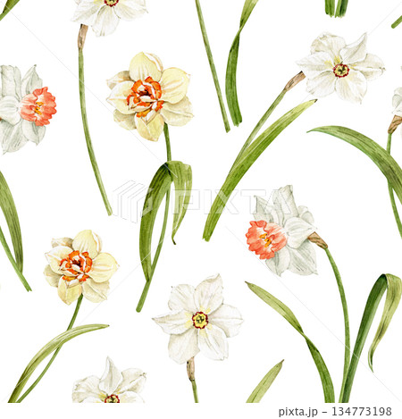 A seamless watercolor pattern with white and yellow daffodils  134773198
