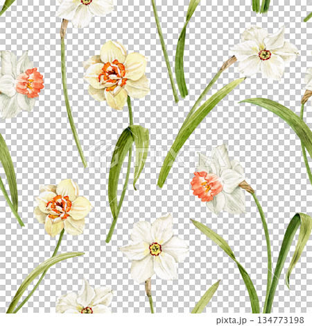 A seamless watercolor pattern with white and yellow daffodils  134773198