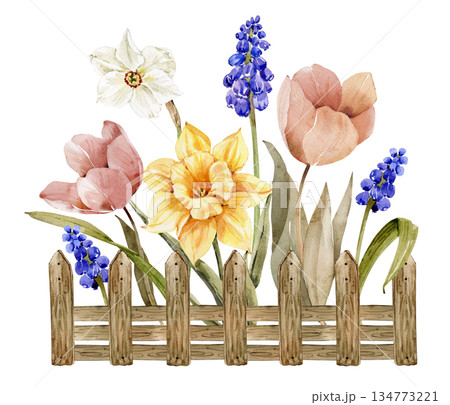 Watercolor drawing of a spring flower garden with a wooden picket fence. Easter or spring holiday design element. Watercolor drawing of a spring flower garden with a wooden picket fence. Easter or spring holiday design element. 134773221