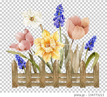 Watercolor drawing of a spring flower garden with a wooden picket fence. Easter or spring holiday design element. Watercolor drawing of a spring flower garden with a wooden picket fence. Easter or spring holiday design element. 134773221
