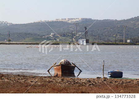 fishing boats on the lake. Bodrum, Mugla , Turkey 134773328