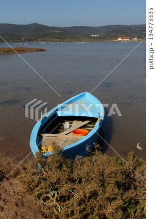 fishing blue boats on the lake. Bodrum, Mugla , Turkey fishing blue boats on the lake. Bodrum, Mugla , Turkey 134773335