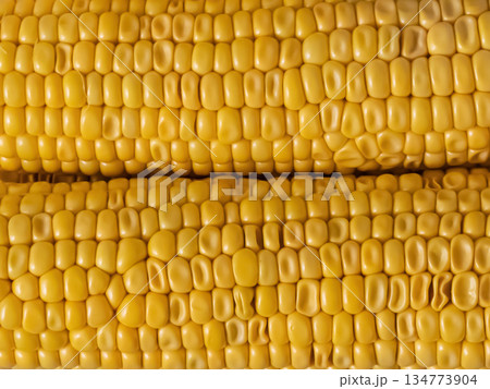 stack of corn cobs fresh stacked on light background stack of corn cobs fresh stacked on light background 134773904