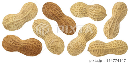 Whole roasted peanuts in shells isolated on white background, collection, full depth of field Whole roasted peanuts in shells isolated on white background, collection, full depth of field 134774147