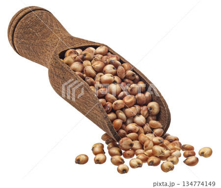 Sorghum grains in wooden scoop isolated white background, full depth of field Sorghum grains in wooden scoop isolated white background, full depth of field 134774149