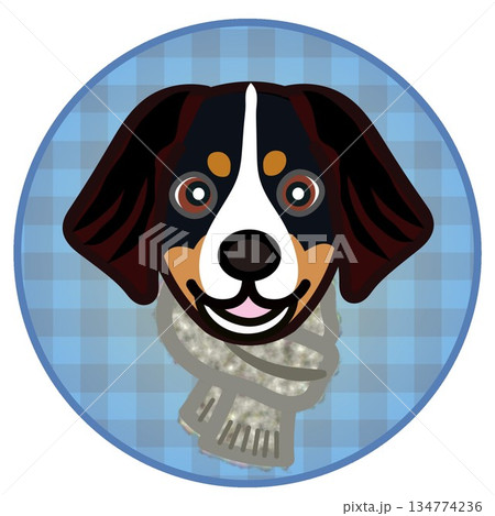 円形背景のついたマフラーをした犬の顔イラスト 円形背景のついたマフラーをした犬の顔イラスト 134774236