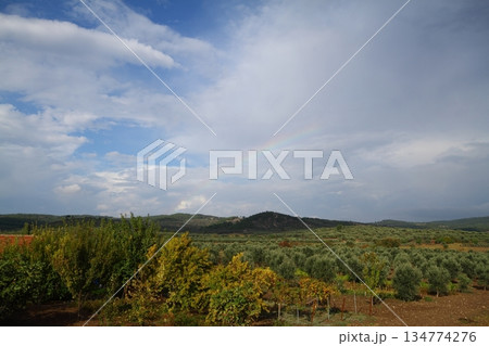 cloudy day in Turkey cloudy day in Turkey 134774276
