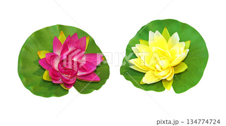 Lotus flower Lotus flower 134774724