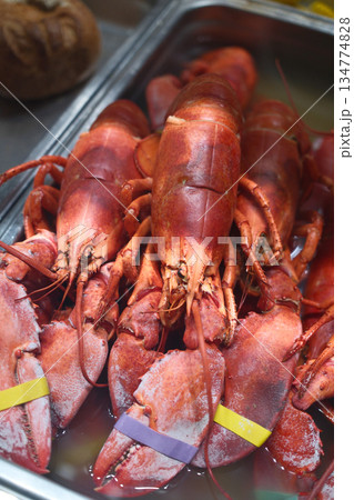 red fresh lobster as sea food red fresh lobster as sea food 134774828