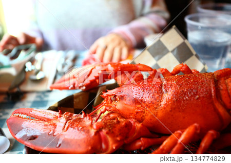 red fresh lobster as sea food 134774829