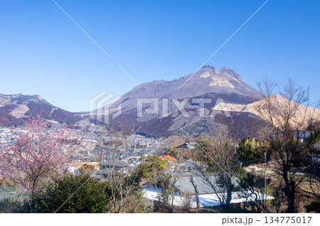 2月の湯布院 2月の湯布院 134775017