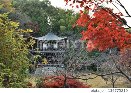 勧修寺　秋色に包まれる観音堂(京都市山科区) 134775219