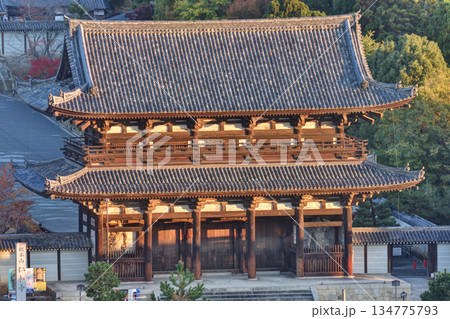 早朝の仁和寺 134775793