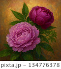 花瓶に生けたピンクの芍薬 134776378