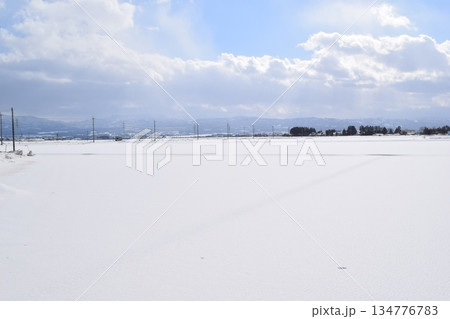 雪国の田園風景 山形県庄内 134776783