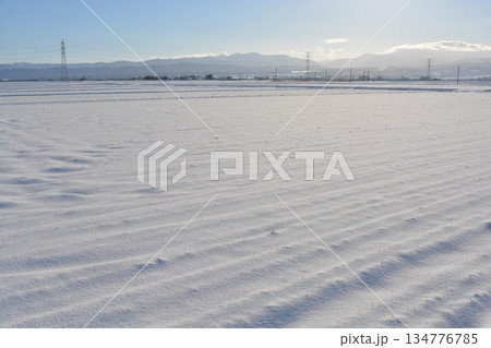 雪国の田園風景 山形県庄内 134776785